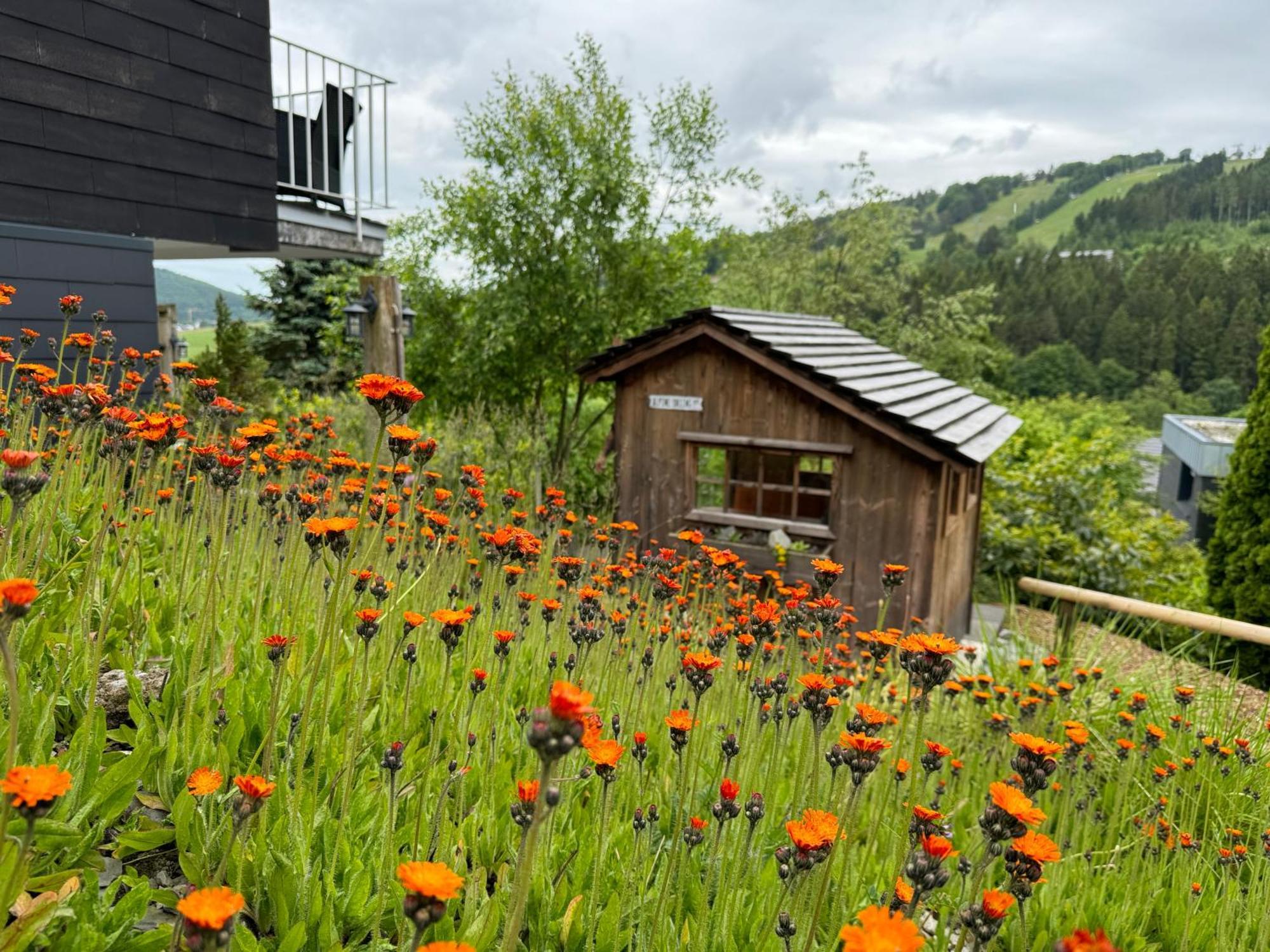 Bergchalet Heidestock Willingen  Exteriér fotografie